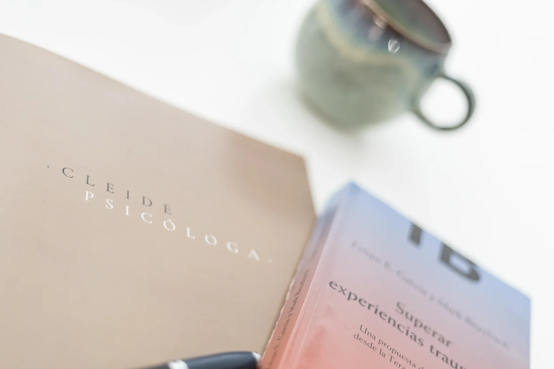 Cleide Psicóloga — cuaderno y libro